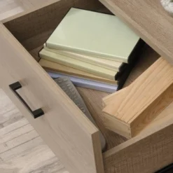 Beginnings 2 Drawer TV Stand For TVs Up To 54" Summer Brown - Sauder -Lush Living Store GUEST 012de427 3093 457e b3ff 96de59474330