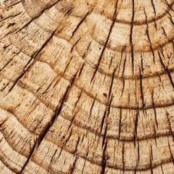 Indoor/Outdoor Faux Concrete Stump Accent Table Brown - Threshold™ Designed With Studio McGee 11 Indoor/Outdoor Faux Concrete Stump Accent Table Brown - Threshold™ Designed With Studio McGee -Lush Living Store GUEST 03deabfd 2b62 4725 94b4 09a321ea8678