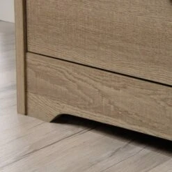 Beginnings 2 Drawer TV Stand For TVs Up To 54" Summer Brown - Sauder -Lush Living Store GUEST 06563a25 ac75 4379 8415 b53c7ad26d45