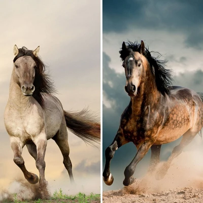 6" Double Sided Galloping Horses Canvas Room Divider - Oriental Furniture 5 6" Double Sided Galloping Horses Canvas Room Divider - Oriental Furniture - Image 3