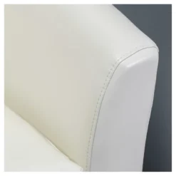 Daymian Faux Leather Swivel Club Chair - Christopher Knight Home -Lush Living Store GUEST 14015665 e4a5 426b 98f4 fb5f1b7fa0a0