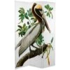 6" Double Sided Audubon Pelican Canvas Room Divider White - Oriental Furniture