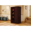 Morgan 2 Door Storage Cabinet Royal Cherry - South Shore -Lush Living Store GUEST 64114ae9 b268 4ced 83db ae26be356b43