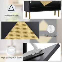 23.6" Rattan Modern Shoe Cabinet With 2 Flap Drawers - ModernLuxe -Lush Living Store GUEST 73544599 eb46 4f21 a0d1 839c48429960