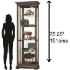 Howard Miller 680673 Howard Miller Brantley Iii Curio Cabinet 680673 Aged Auburn -Lush Living Store GUEST 76ef7c16 ca0c 45ac aacd 161791ec3463