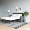 Queen Cassidy Sofa Sleeper Gray Velvet - Room & Joy -Lush Living Store GUEST 8e23cb89 96c8 4c9a 8179 ef6a3cdb1a8f