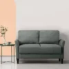 54" Jackie Loveseat Sofa - Zinus