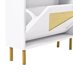 23.6" Rattan Modern Shoe Cabinet With 2 Flap Drawers - ModernLuxe -Lush Living Store GUEST 98993d10 371e 4b6c a9eb 704b43c1de5a