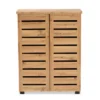 Adalwin Wood 2 Door Cabinet Oak Brown - Baxton Studio -Lush Living Store GUEST aafae74e 3f7f 4840 8348 290994d6b0e7
