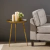 Everts Modern Accent Table Brass - Christopher Knight Home 1 Everts Modern Accent Table Brass - Christopher Knight Home -Lush Living Store GUEST b113feb4 8efa 4d20 a7d2 c2f9590b60e1