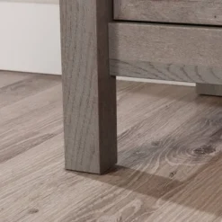 Cottage Road TV Stand For TVs Up To 65" With Doors - Sauder -Lush Living Store GUEST c088f5df bf34 40bc 850f dd367d87d014