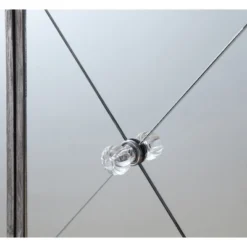 Gold Coast Vineyard 2 Drawer Mirrored Cabinet Weathered Gray - Breighton Home -Lush Living Store GUEST d50b600f a364 4490 a1de 4e0192aa4110