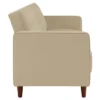 Isabella Tufted Transitional Futon - Room & Joy -Lush Living Store GUEST e6d2f281 42d2 4b4c b0e4 29b10e2d1c4f